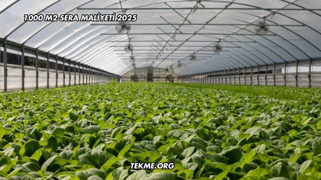1000 M2 Sera Maliyeti 2025