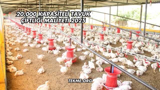20.000 Kapasiteli Tavuk Çiftliği Maliyeti 2025