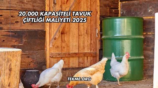 20.000 Kapasiteli Tavuk Çiftliği Maliyeti 2025