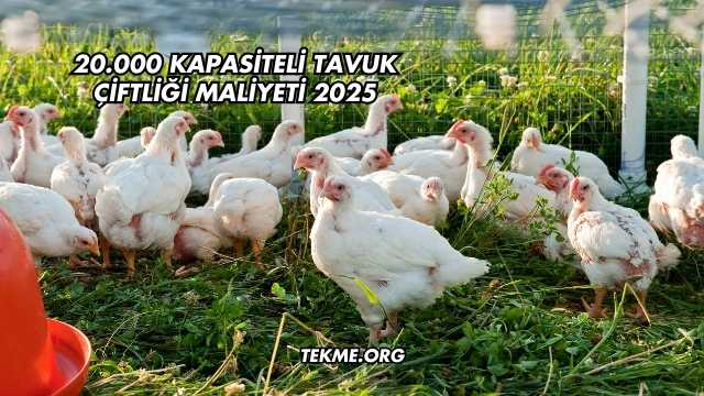 20.000 Kapasiteli Tavuk Çiftliği Maliyeti 2025