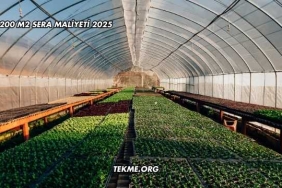 200 m2 Sera Maliyeti 2025