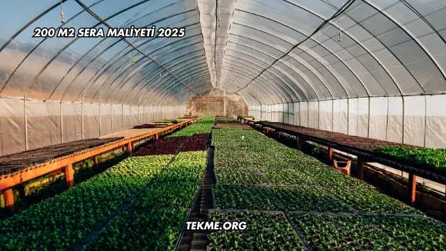 200 m2 Sera Maliyeti 2025
