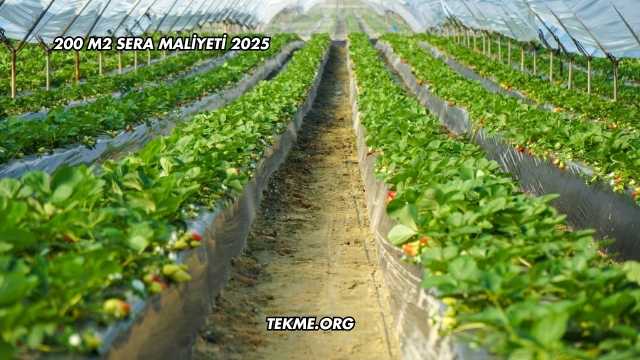 200 m2 Sera Maliyeti 2025