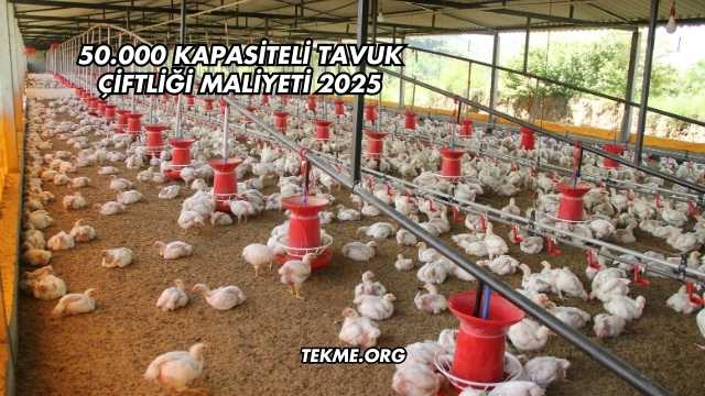 50.000 Kapasiteli Tavuk Çiftliği Maliyeti 2025