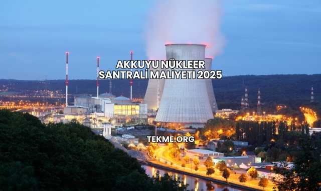 Akkuyu Nükleer Santrali Maliyeti 2025