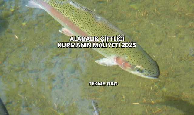 Alabalık Çiftliği Kurmanın Maliyeti 2025