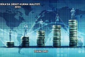 Amerika'da Şirket Kurma Maliyeti 2025