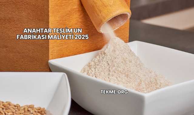 Anahtar Teslim Un Fabrikası Maliyeti 2025