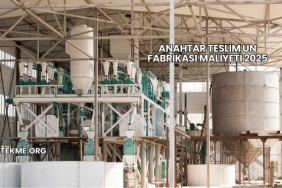 Anahtar Teslim Un Fabrikası Maliyeti 2025