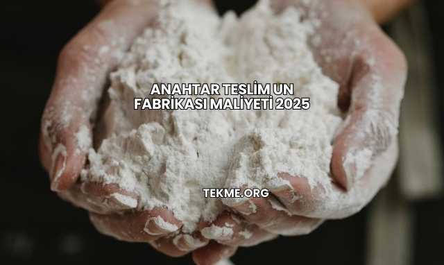 Anahtar Teslim Un Fabrikası Maliyeti 2025