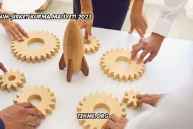 Anonim Şirket Kurma Maliyeti 2025