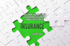 Asgari Ücretlinin İşverene Sigorta Maliyeti 2025