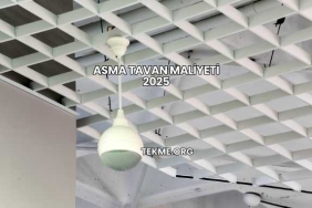Asma Tavan Maliyeti 2025