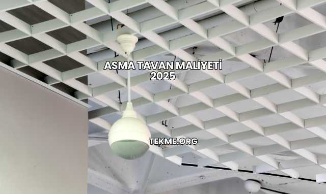 Asma Tavan Maliyeti 2025