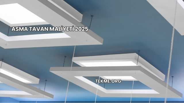 Asma Tavan Maliyeti 2025