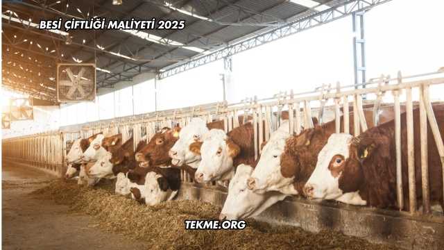 Besi Çiftliği Maliyeti 2025
