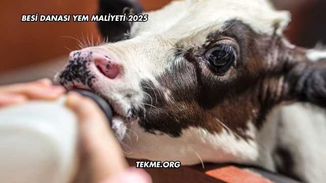Besi Danası Yem Maliyeti 2025