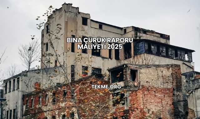 Bina Çürük Raporu Maliyeti 2025