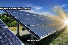 Birim Enerji Maliyeti 2025