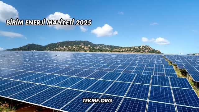 Birim Enerji Maliyeti 2025