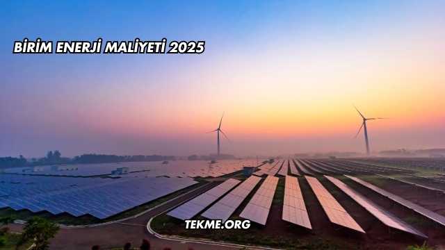Birim Enerji Maliyeti 2025