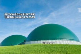 Biyogazdan Elektrik Üretimi Maliyeti 2025