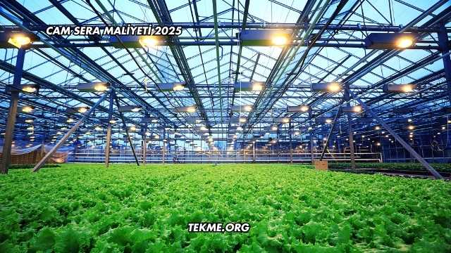 Cam Sera Maliyeti 2025
