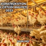 Çelik Konstrüksiyon Tavuk Çiftliği Maliyeti 2025