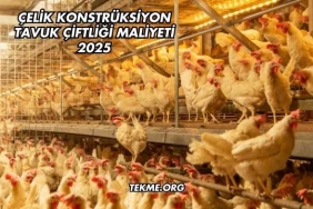 Çelik Konstrüksiyon Tavuk Çiftliği Maliyeti 2025