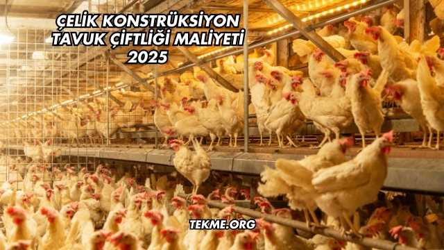 Çelik Konstrüksiyon Tavuk Çiftliği Maliyeti 2025