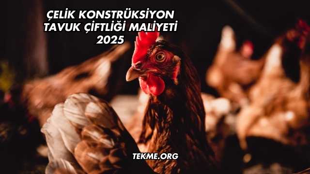 Çelik Konstrüksiyon Tavuk Çiftliği Maliyeti 2025