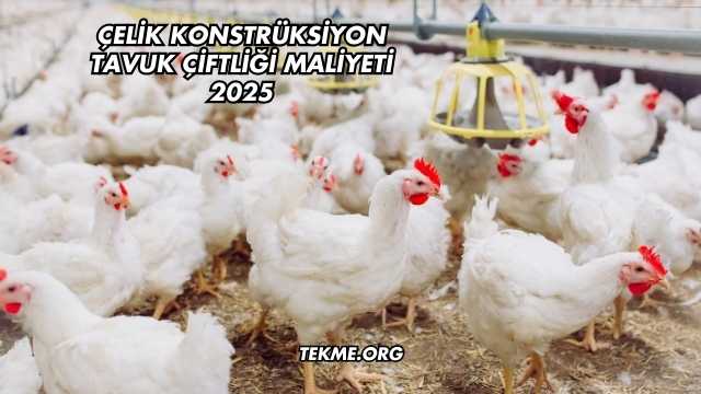 Çelik Konstrüksiyon Tavuk Çiftliği Maliyeti 2025