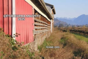 Çiftlik Kurma Maliyeti 2025