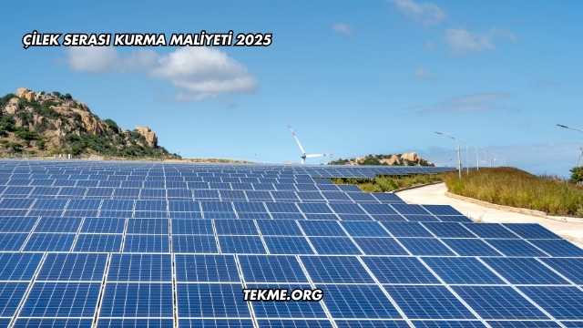 Çilek Serası Kurma Maliyeti 2025