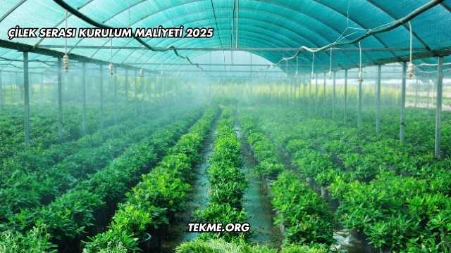 Çilek Serası Kurulum Maliyeti 2025