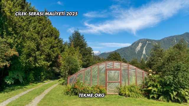 Çilek Serası Maliyeti 2025