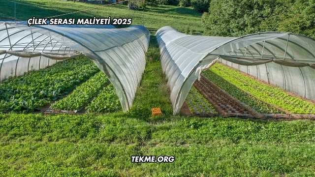 Çilek Serası Maliyeti 2025