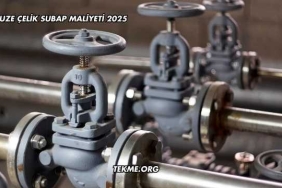 Cruze Çelik Subap Maliyeti 2025