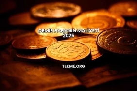 Demir Paranın Maliyeti 2025