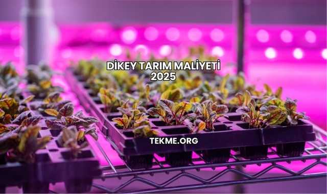 Dikey Tarım Maliyeti 2025