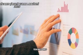 Dış Ticaret Şirketi Kurma Maliyeti 2025