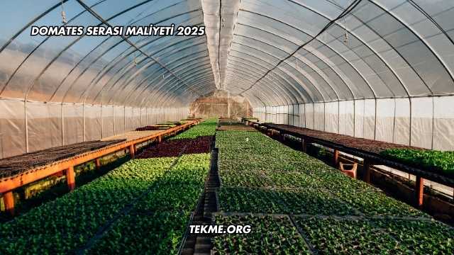 Domates Serası Maliyeti 2025