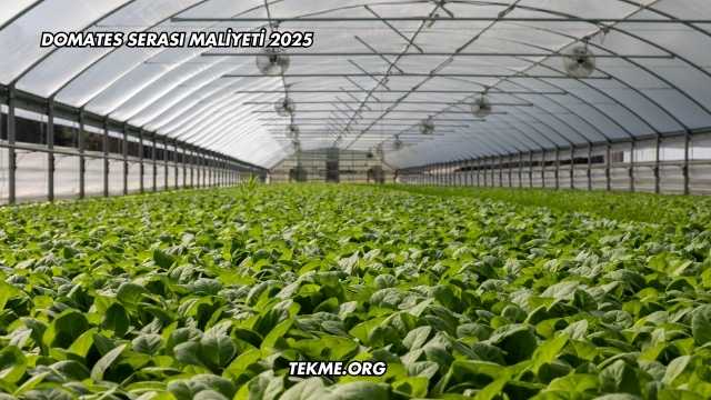 Domates Serası Maliyeti 2025