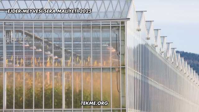 Ejder Meyvesi Sera Maliyeti 2025