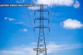 Elektrik Direği Maliyeti 2025