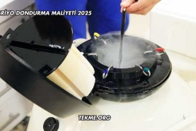 Embriyo Dondurma Maliyeti 2025