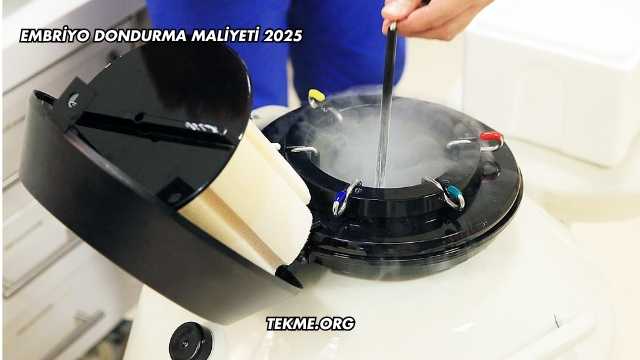 Embriyo Dondurma Maliyeti 2025