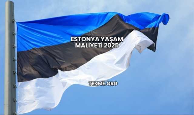 Estonya Yaşam Maliyeti 2025