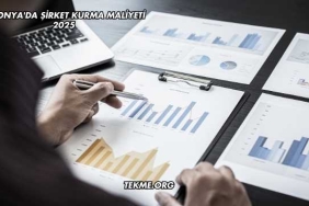 Estonya'da Şirket Kurma Maliyeti 2025