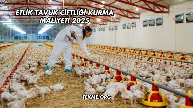 Etlik Tavuk Çiftliği Kurma Maliyeti 2025